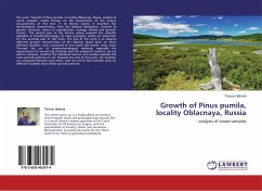 Growth of Pinus pumila, locality Oblacnaya, Russia - Hásová, Tereza