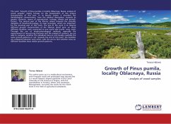 Growth of Pinus pumila, locality Oblacnaya, Russia