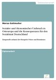 Sozialer und ökonomischer Umbruch in Osteuropa und die Konsequenzen für den Sozialstaat Deutschland (eBook, PDF)