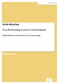 Non-Performing Loans in Deutschland (eBook, PDF)