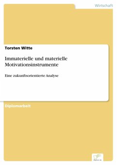 Immaterielle und materielle Motivationsinstrumente (eBook, PDF) - Witte, Torsten