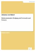 Risikominimales Hedging mit Forwards und Futures (eBook, PDF)