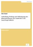 Aufstellung, Prüfung und Offenlegung des Jahresabschlusses der GmbH &Co. KG (nach KapCoRiLiG) (eBook, PDF)