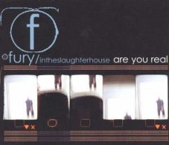 Are You Real - Fury in the Slaughterhouse