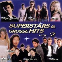 Cover Superstars & grosse Hits (Vol. 2)