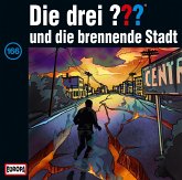Die drei Fragezeichen und die brennende Stadt / Die drei Fragezeichen - Hörbuch Bd.166 (1 Audio-CD)