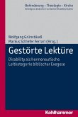 Gestörte Lektüre (eBook, PDF)