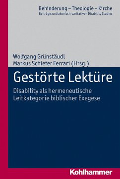 Gestörte Lektüre (eBook, PDF)