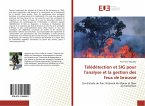 Télédétection et SIG pour l'analyse et la gestion des feux de brousse