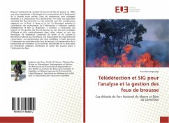 Télédétection et SIG pour l'analyse et la gestion des feux de brousse - Nguedjo, Paul Aimé