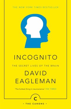 Incognito - Eagleman, David