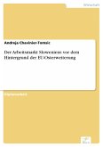 Der Arbeitsmarkt Sloweniens vor dem Hintergrund der EU-Osterweiterung (eBook, PDF)