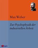 Zur Psychophysik der industriellen Arbeit (eBook, ePUB)