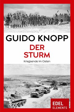 Der Sturm (eBook, ePUB) - Knopp, Guido