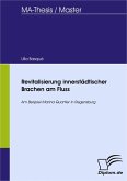 Revitalisierung innerstädtischer Brachen am Fluss (eBook, PDF)