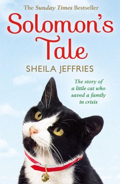 Solomon's Tale (eBook, ePUB) - Jeffries, Sheila