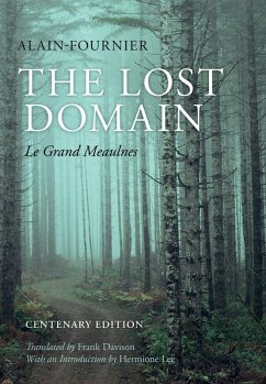 Cover The Lost Domain (eBook, ePUB)