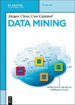 Data Mining - Cleve, Jürgen;Lämmel, Uwe