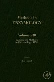 Laboratory Methods in Enzymology: RNA (eBook, ePUB)