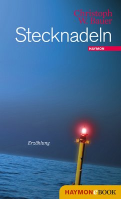 Stecknadeln (eBook, ePUB) - Bauer, Christoph W.