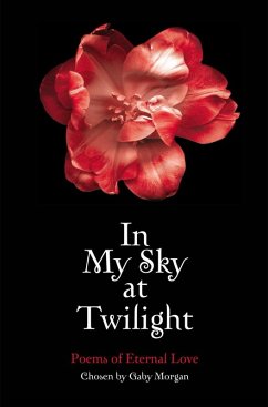 Cover In My Sky at Twilight (eBook, ePUB)