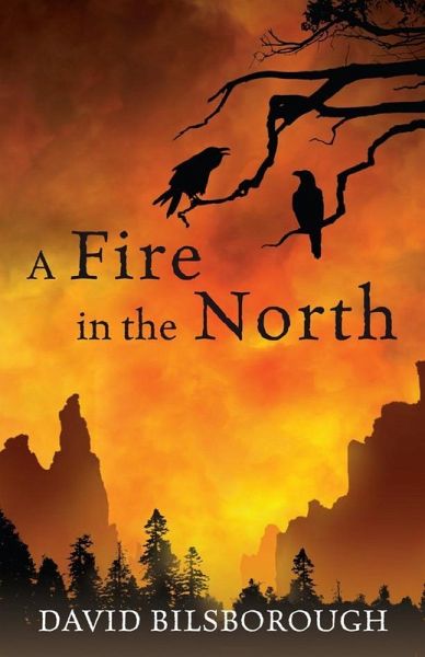 A Fire in the North (eBook, ePUB)