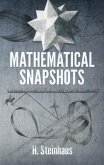 Mathematical Snapshots (eBook, ePUB)