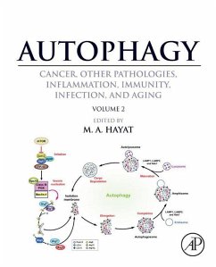 Cover Autophagy: Cancer, Other Pathologies, Inflammation, Immunity, Infection, and Aging (eBook, ePUB)