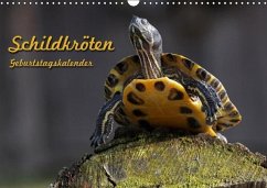 Schildkröten Geburtstagskalender (Wandkalender immerwährend DIN A3 quer) - Berg, Martina