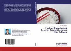 Study of Transplanting Dates on Drought Resistant Rice Cultivars