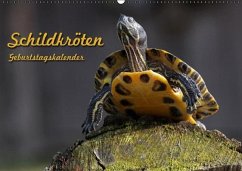 Schildkröten Geburtstagskalender (Wandkalender immerwährend DIN A2 quer)