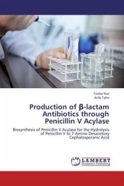 Production of -lactam Antibiotics through Penicillin V Acylase