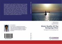 Water Quality Of The Buriganga River