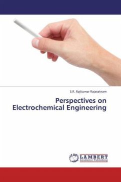 Perspectives on Electrochemical Engineering - Rajaratnam, S.R. Rajkumar