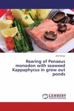 Rearing of Penaeus monodon with seaweed Kappaphycus in grow out ponds