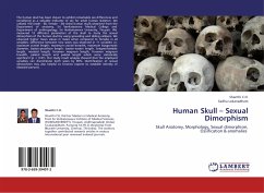 Human Skull ¿ Sexual Dimorphism