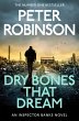 Dry Bones That Dream (eBook, ePUB) - Bild 1