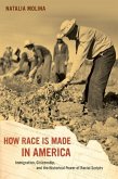 How Race Is Made in America (eBook, ePUB)