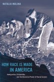 How Race Is Made in America (eBook, ePUB)