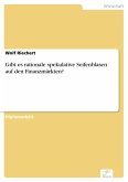 Gibt es rationale spekulative Seifenblasen auf den Finanzmärkten? (eBook, PDF)