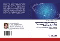 Multimode Fibre Broadband Access and Self-referencing Sensors Networks