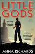 Little Gods (eBook, ePUB) - Bild 1