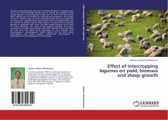 Effect of intercropping legumes on yield, biomass and sheep growth