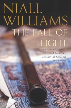 Cover The Fall of Light (eBook, ePUB)
