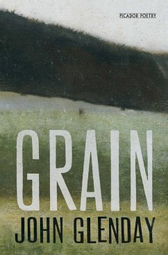 Grain (eBook, ePUB) - Glenday, John