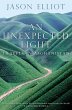 An Unexpected Light (eBook, ePUB) - Bild 1