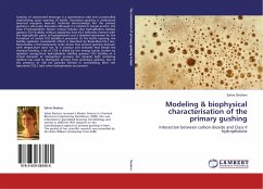 Modeling & biophysical characterisation of the primary gushing