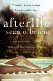 Afterlife (eBook, ePUB)