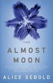 The Almost Moon (eBook, ePUB)