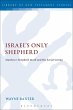 Israel's Only Shepherd (eBook, PDF) - Bild 1